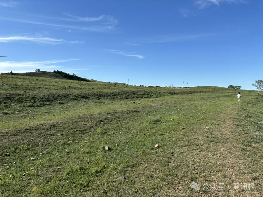 The flock of sheep in the distance on the grassland